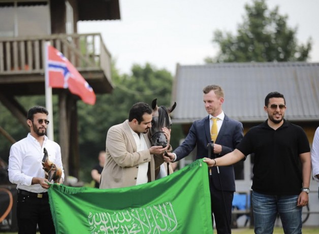 النتائج النهائية لبطولة ستروهن 2021 الدولية لجمال الخيل العربية