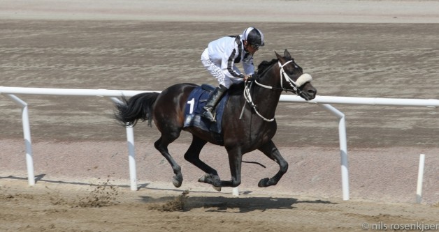 “رسمي الخالدية” بطلاً لكأس رئيس الإمارات بالسويد