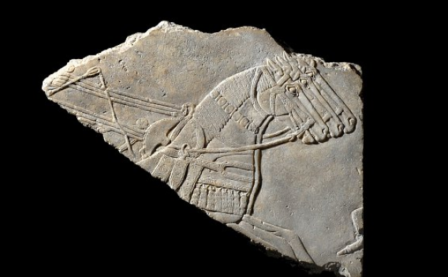 صندوق الفروسية السعودي ينظّم معرض تاريخ الخيل العربي في المتحف البريطاني كهدية “ليوبيل” الملكة اليزابيث الثانية