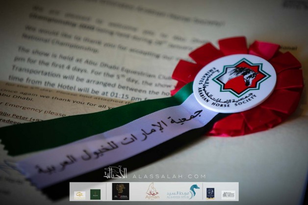 “بطولة العرب” مسمى جديد ومستقبل عالمي بدأت أولى خطواته هذا الموسم.!