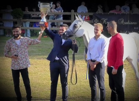 النتائج النهائية لبطولة بروجيز للخيل العربية الأصيلة 2021