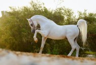 أما آن الأوان .. !؟