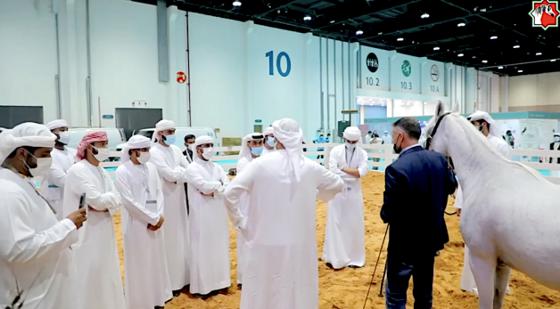 جمعية الإمارات للخيول العربية تشارك في “أبوظبي للصيد والفروسية”