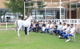 الاتحاد الملكي ينظم دورة عارضي الخيل العربية المتقدمة يومي 3 و4 أكتوبر في قرية البحرين الدولية للقدرة