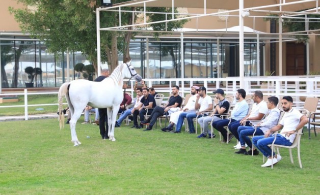 الاتحاد الملكي ينظم دورة عارضي الخيل العربية المتقدمة يومي 3 و4 أكتوبر في قرية البحرين الدولية للقدرة