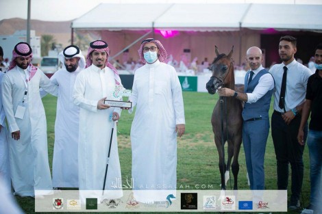 نتائج اليوم الأول لبطولة الإنتاج المحلي 2021 لجمال الخيل العربية الأصيلة بالرياض