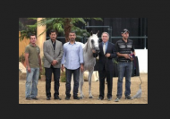 حورية الشقب تضيف لقباً رابعاً لقطر في فئة 6 و7 سنوات