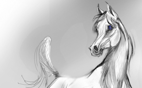 يوم ذهبي لخيول الشقب في “كنتاكي” و ينال أفضل منتج