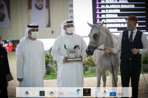 نتائج اليوم الأول والثاني لبطولة الإمارات الوطنية 2021 لجمال الخيول العربية