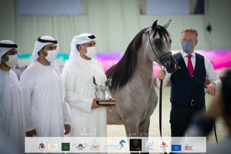 نتائج اليوم الثالث لبطولة الإمارات الوطنية 2021 لجمال الخيل العربية