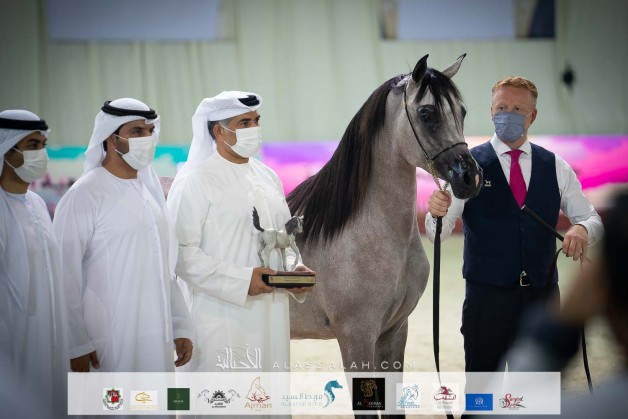 نتائج اليوم الثالث لبطولة الإمارات الوطنية 2021 لجمال الخيل العربية