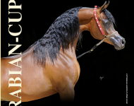 نتائج بطولة كأس ايلرن الدولية للخيل العربية الأصيلة ٢٠١٢ “محدث”