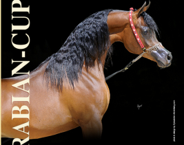 نتائج بطولة كأس ايلرن الدولية للخيل العربية الأصيلة ٢٠١٢ “محدث”