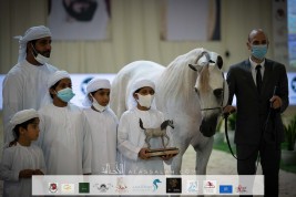 صور مقتطفة لليوم الختامي من بطولة الإمارات الوطنية  2021 لجمال الخيول العربية