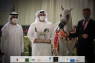 «الأريام» يحقق فضة وبرونز في بطولة الإمارات الوطنية 2021 لجمال الخيول العربية الأصيلة