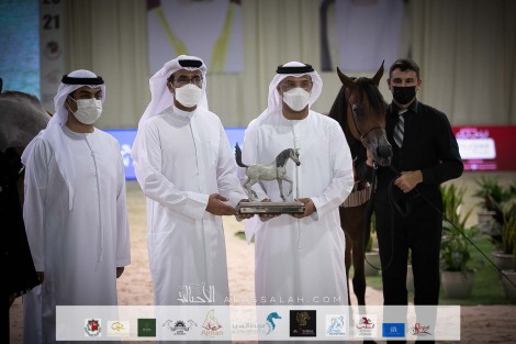 النتائج النهائية لبطولة الإمارات الوطنية 2021 لجمال الخيل العربية