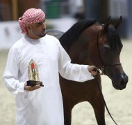 النتائج النهائية لمهرجان الشارقة 2021 للجواد العربي -الإنتاج المحلي