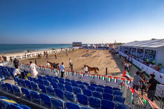 مهرجان الشارقة كلباء الثالث للجواد العربي ينطلق غدا الخميس – البرنامج