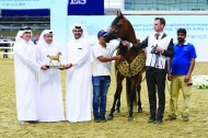 النتائج النهائية لبطولة قطر المحلية “24” لجمال الخيل العربية الأصيلة