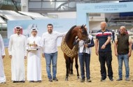 ذهبية وفضيتان لخيول الشقب في ختام بطولة قطر المحلية “24”
