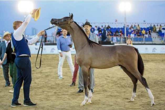 3 ألقاب ملونة للأريام في “كلباء” وباكورة إنتاج الفحل “الأريام شكلان” يحقق ذهب