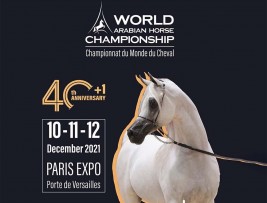 بطولة العالم لجمال الخيل العربية 2021 تنطلق ظهر غدٍ الجمعة بباريس – برنامج البطولة – البرنامج