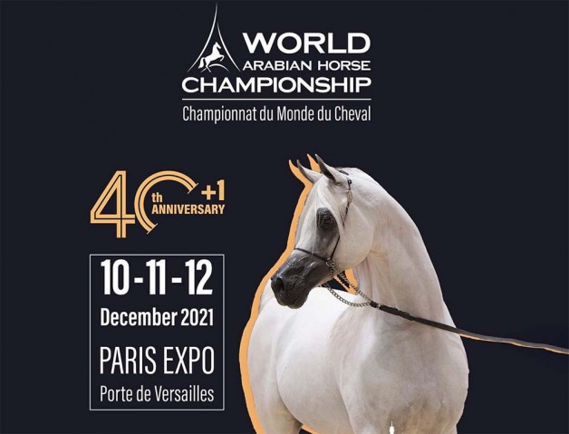 بطولة العالم لجمال الخيل العربية 2021 تنطلق ظهر غدٍ الجمعة بباريس – برنامج البطولة – البرنامج