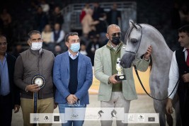 نتائج اليوم الأول لبطولة العالم لجمال الخيل العربية باريس 2021