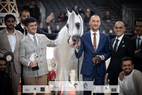 نتائج اليوم الثاني لبطولة العالم لجمال الخيل العربية باريس 2021
