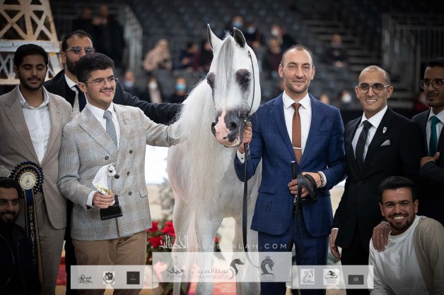 نتائج اليوم الثاني لبطولة العالم لجمال الخيل العربية باريس 2021
