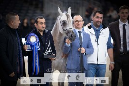 صور مقتطفة من اليوم الثاني لبطولة العالم باريس ٢٠٢١ لجمال الخيل العربية الأصيلة
