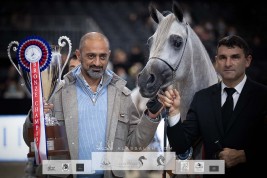 فضية وبرونزية لمربط عجمان في ختام بطولة العالم لجمال الخيل العربية 2021