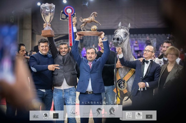 “سوار الشقب” تحلق بذهب مهرات بطولة العالم لجمال الخيل العربية 2021