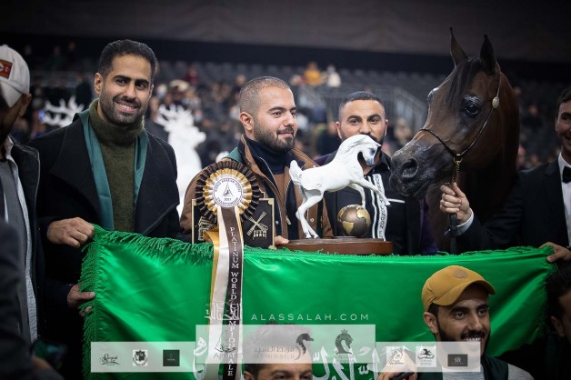 النتائج النهائية بالصور لبطولة العالم لجمال الخيل العربية باريس 2021 