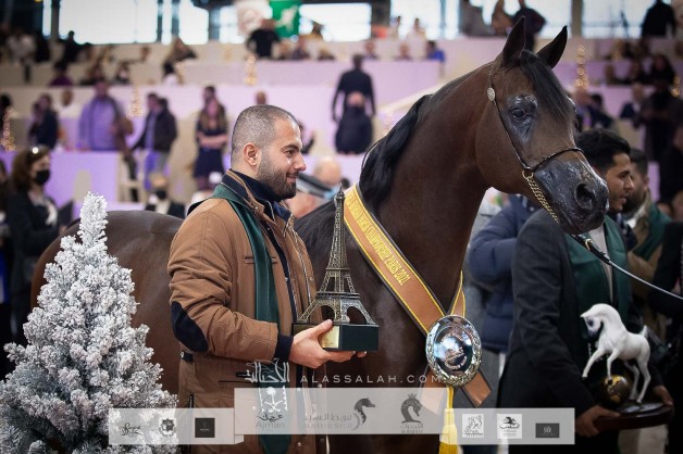 مربط الراجحيات يهدي للوطن “بلاتنيوم” بطولة العالم ٢٠٢١ بالفحل اكواتور