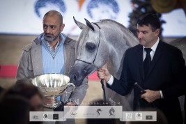 صور مقتطفة من اليوم الختامي لبطولة العالم باريس ٢٠٢١ لجمال الخيل العربية الأصيلة