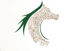 بمشاركة 313 جواداً بطولة مركز الملك عبدالعزيز الدولية الخامسة تنطلق غد الأربعاء – برنامج البطولة