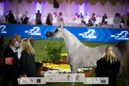 نتائج اليوم الأول لبطولة مركز الملك عبدالعزيز الدولية الخامسة 2021