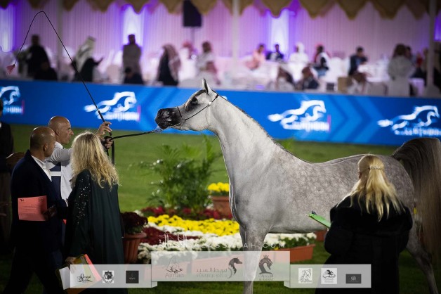 نتائج اليوم الأول لبطولة مركز الملك عبدالعزيز الدولية الخامسة 2021