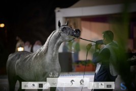 صور مقتطفة من اليوم الأول لبطولة مركز الملك عبدالعزيز الخامس ٢٠٢١