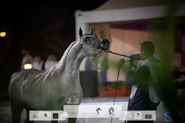 صور مقتطفة من اليوم الأول لبطولة مركز الملك عبدالعزيز الخامس ٢٠٢١