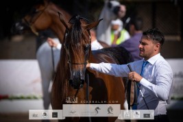 صور مقتطفة من اليوم الثاني لبطولة الفجيرة ٢٠٢١