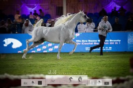 صور مقتطفة من اليوم الثالث لبطولة مركز الملك عبدالعزيز الخامس ٢٠٢١