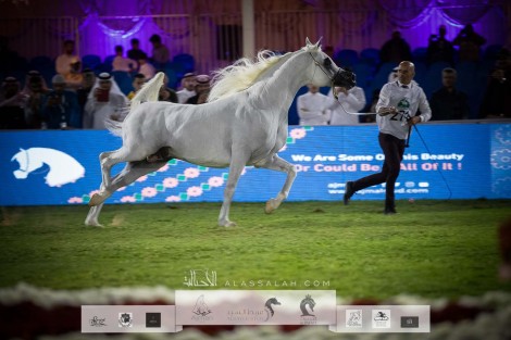صور مقتطفة من اليوم الثالث لبطولة مركز الملك عبدالعزيز الخامس ٢٠٢١