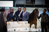 نتائج اليوم الثاني بالصور لبطولة العرب ٢٠٢١ للخيول العربية الأصيلة