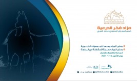 مزاد فخر الدرعية يوم الاثنين المقبل بمشاركة 40 خيلاً – قائمة الخيل