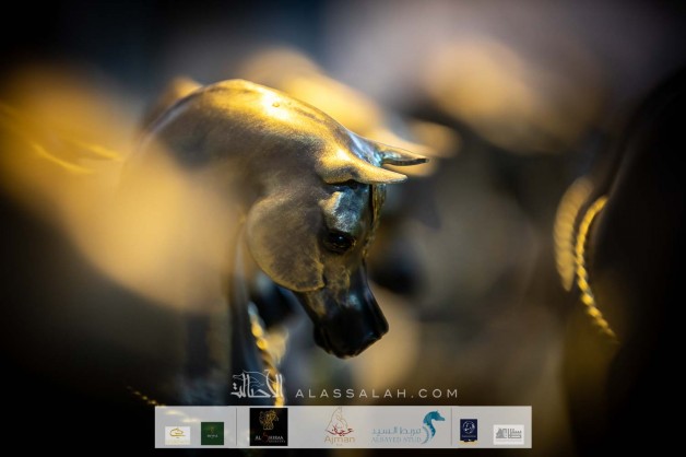 بطولة عجمان لجمال الخيل العربية 2022 تنطلق غداً الخميس – برنامج البطولة