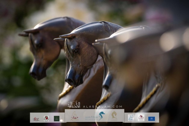 صور مقتطفة من اليوم الثاني من بطولة عجمان ٢٠٢٢ لجمال الخيل العربية