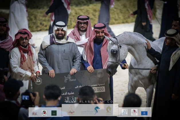 نتائج اليوم الثاني بالصور لبطولة “عبيه2022” ضمن المهرجان السعودي للجواد العربي