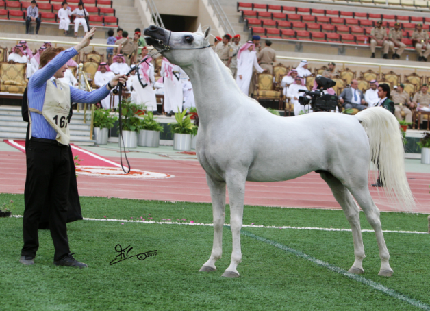 زاهر الشاخورة